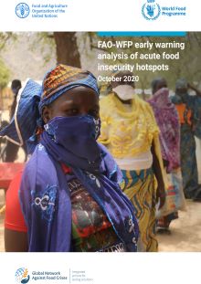 FAO-WFP early warning analysis of acute food insecurity hotspots (October 2020)